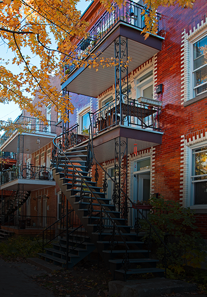 L’effervescence culturelle du Plateau Mont-Royal